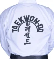 5top-ten-dobok-xxx-white-d-xxx-detail1_1_1 — kopia.webp