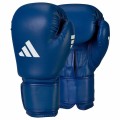 adiibag1c-aiba-boxing-glove-deserto-cactus-blue-02_1280x1280.jpg